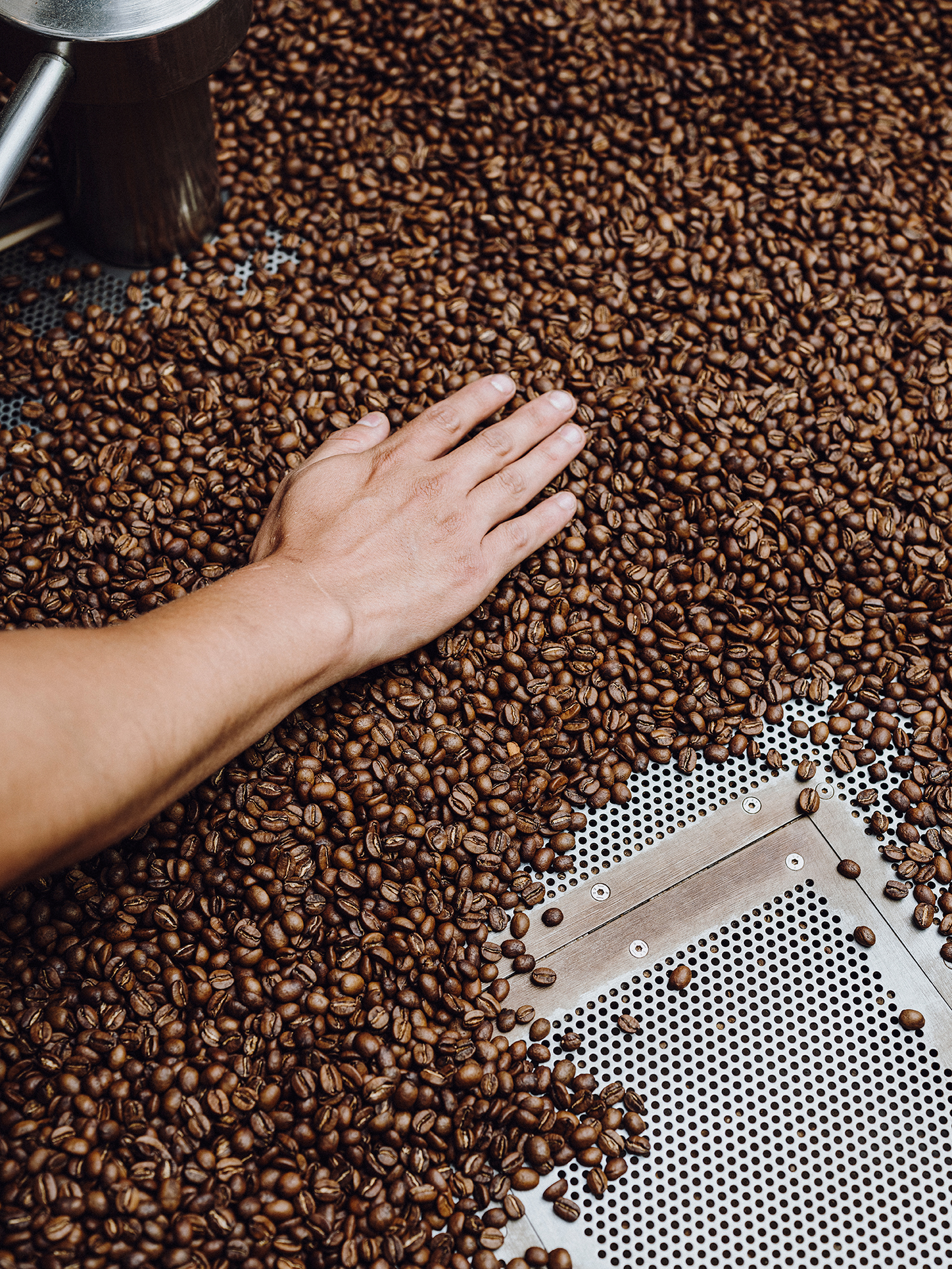 Quick Guide to Coffee Roasting